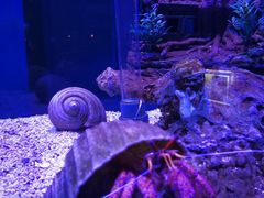 -太平洋海底世界