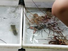 -拉威海鲜市场