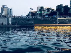 -海河游船-永乐码头(大悲院)