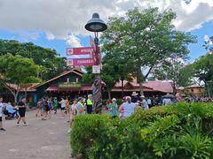 -奥兰多迪士尼动物王国乐园