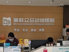 -美联众合动物医院·24h京西诊疗中心