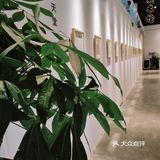 常州首家公开达利展览