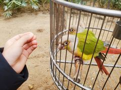 -南宫五洲植物乐园