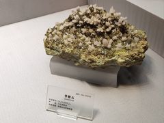 -湖南省地质博物馆