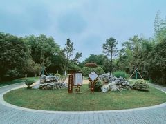 -菊花台公园