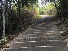 -梧桐山风景名胜区