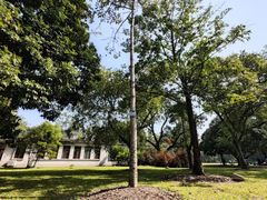 -中国科学院华南植物园