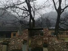 -秦岭风景区
