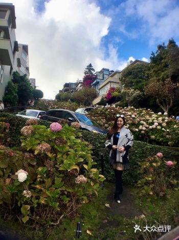 2017年美国旅游：【九曲花街】是旧金山最吸引人的一