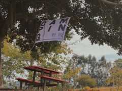 -光明小镇欢乐田园