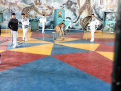 android_upload_pic-新疆天山野生动物园