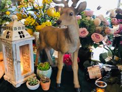 -LYFATTI 莱芙缇(赣水路店)