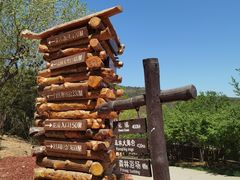 -北京西山国家森林公园