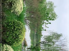 -九里河湿地公园