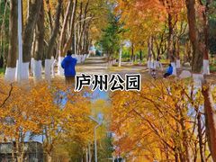 -合肥滨湖国家森林公园