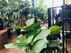 -大树餐厅(红旗街万达店)