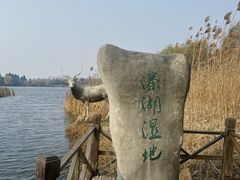 -溱湖国家湿地公园