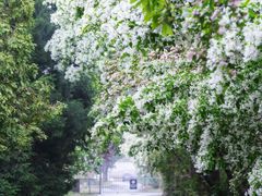 -国家植物园南园