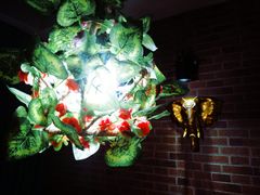 -忘忧草融合私房菜(红鼎国际店)