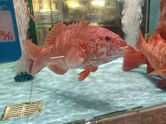 -阿伟海鲜楼·福建菜(延寿店)