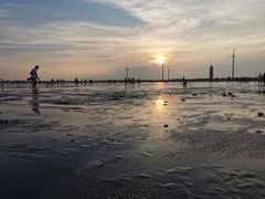 -碧海金沙