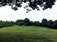-雨花胜境