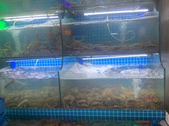 -老东镇啤酒屋海鲜加工·蒸汽海鲜·海鲜烧烤(台东店)