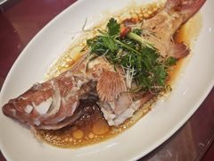 -益健美食大广场(北岭店)