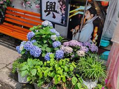 -绍兴书圣故里景区