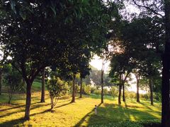 -中国移动南方基地