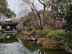 -秋霞圃
