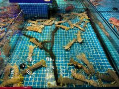 -驻海渔市(置信店)