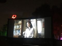 -枫花园汽车电影院(朝阳公园店)
