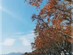 -北山街历史文化街区