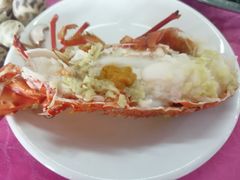 -大湾区中央湿地公园-十九涌