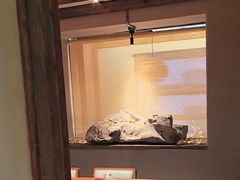 -小乾杯串店•16年沈阳烧烤(文安路店)