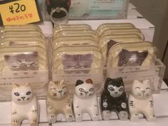 -猫咪博物馆(顶澳仔猫街店)