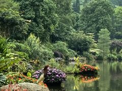 -深圳仙湖植物园
