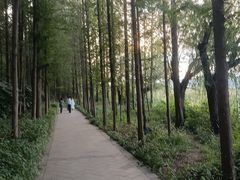 -云龙湖旅游景区