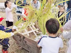 -尚田草莓姑娘白草莓采摘基地