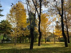 -钓鱼台国宾馆