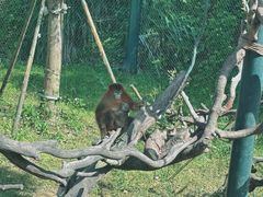 -宁波野生动物园