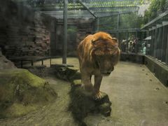 -宁波野生动物园