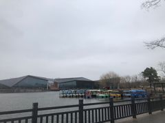 -上海长兴岛郊野公园