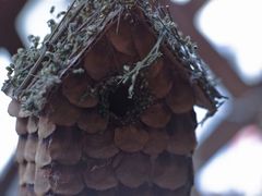 -泉乐坊步行街(烟酒特产平价超市店)