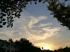 -阿叶羊杂碎(前进街店)