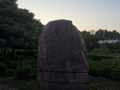 -洛阳市隋唐城遗址植物园