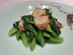 -松鹤楼(狮山永利广场店)