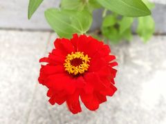 -家宴·灌蛋·沙茶面(曾厝垵店)