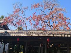 -江心屿景区